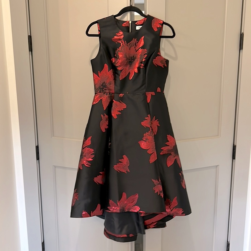Calvin Klein, high low, party dress.